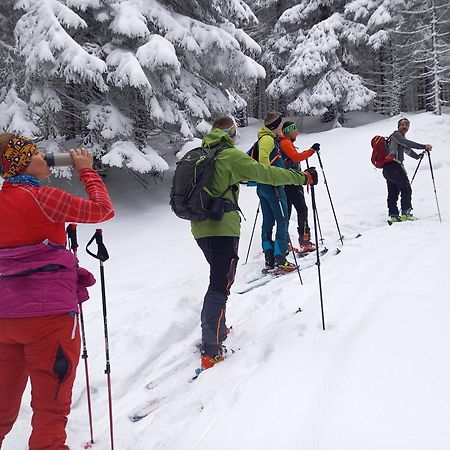 Willa Marianna Lądek-Zdrój Exteriör bild