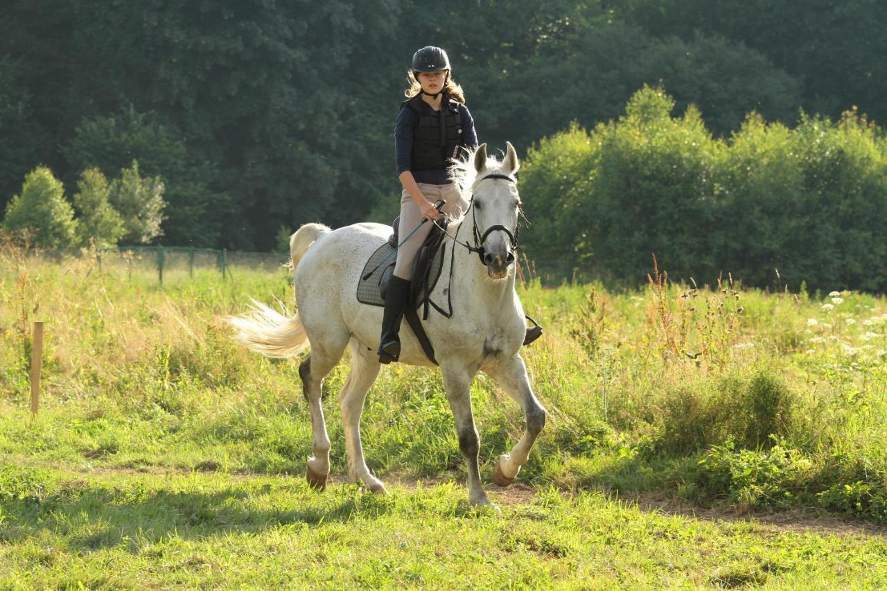 Willa Marianna Lądek-Zdrój Exteriör bild
