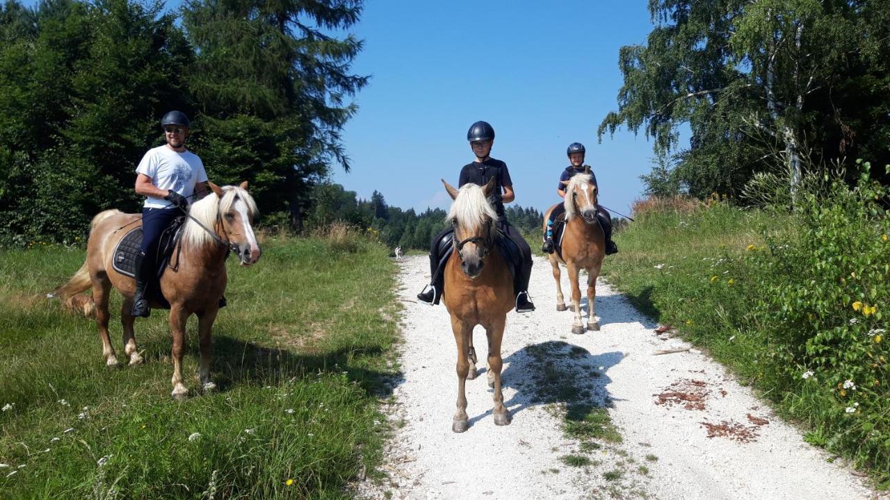 Willa Marianna Lądek-Zdrój Exteriör bild