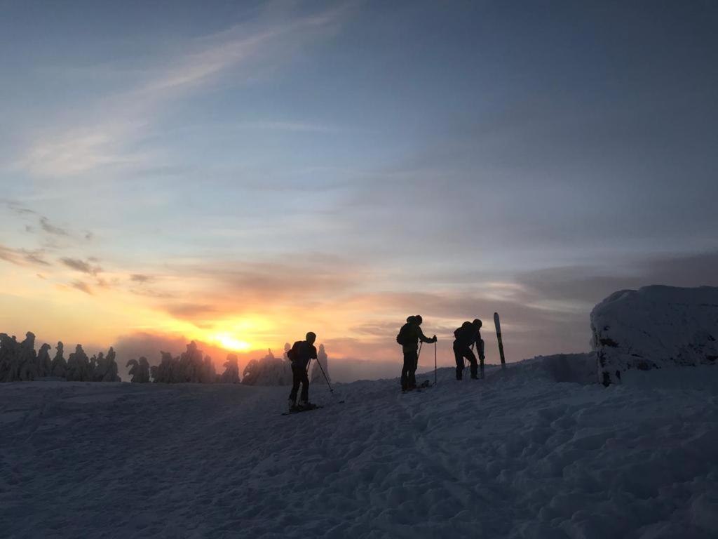 Willa Marianna Lądek-Zdrój Exteriör bild
