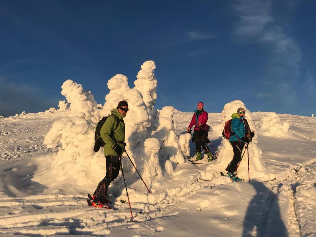 Willa Marianna Lądek-Zdrój Exteriör bild
